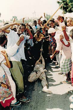 Сомали 
