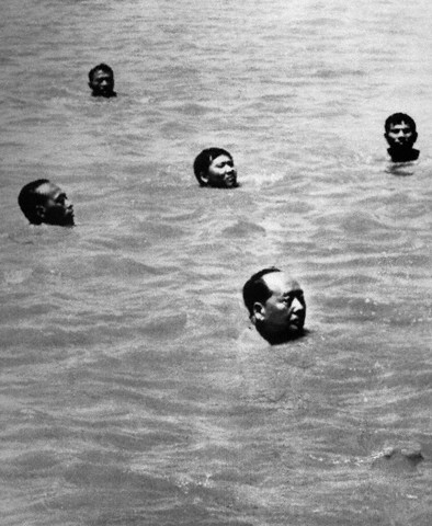 Image result for mao swimming the yangtze